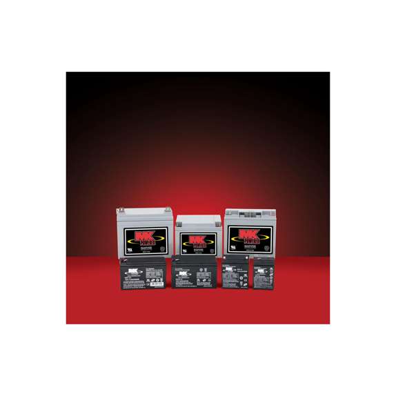 12 AMP Battery