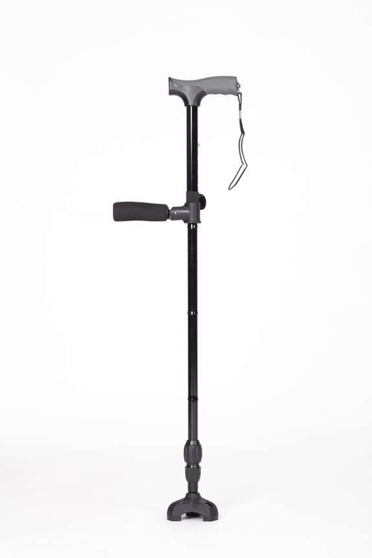 Twin Handled Walking Stick